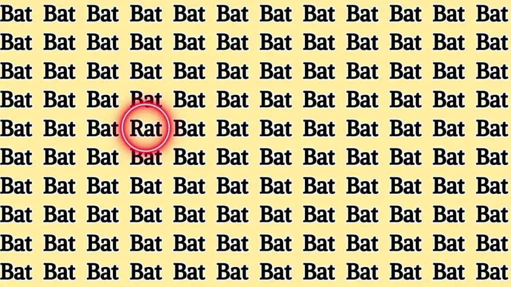 spot rat among bat in 8 secs answer